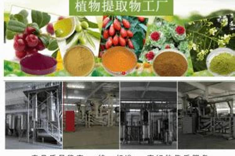 硫酸钾肥什么牌子好