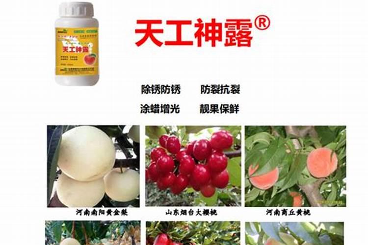 这是什么植物？