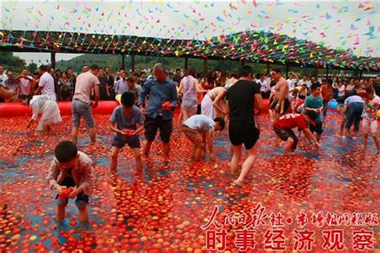 西红柿用什么肥料好