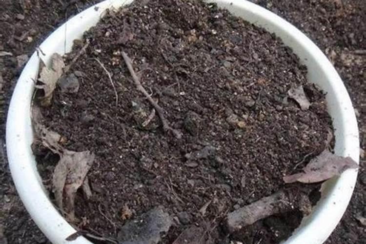 木头灰可以做肥料吗