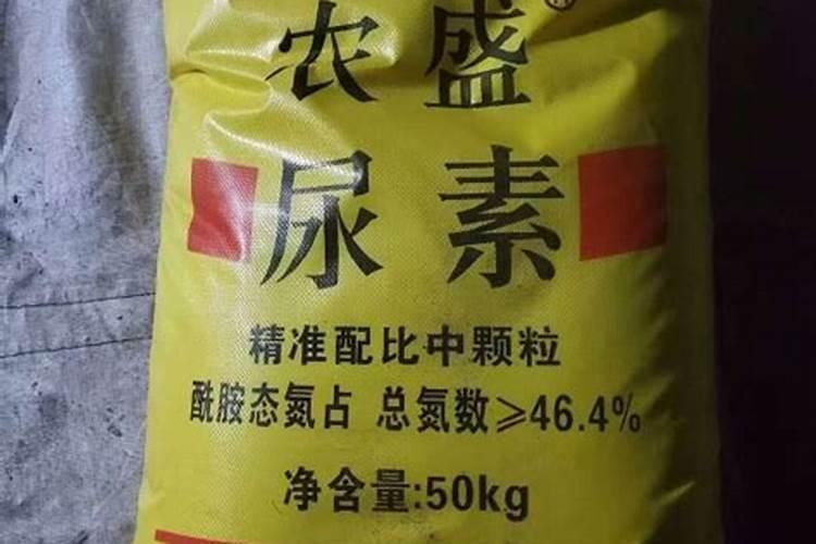 优良的白茄品种有哪些？