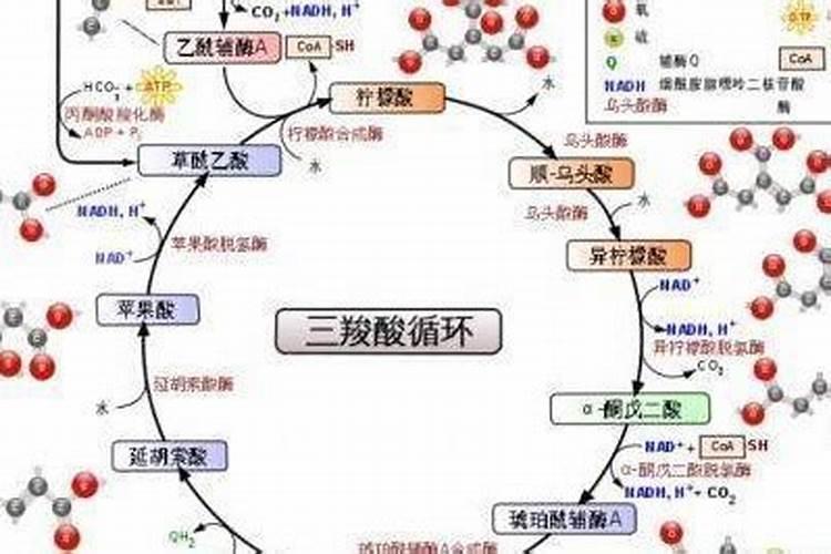 鱼饲料过期了,怎么处理不浪费？