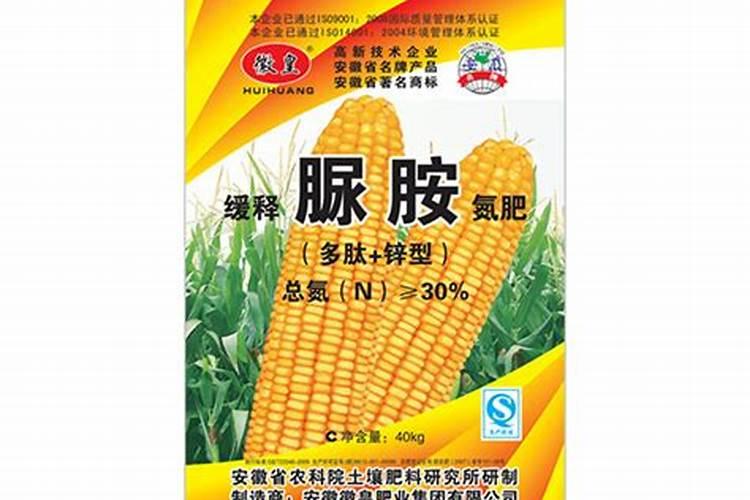 草莓施肥的方法