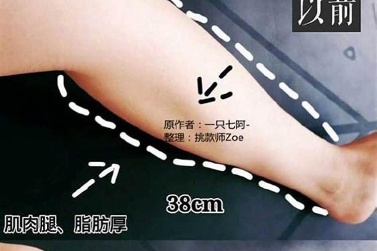 盆栽金桔什么时候施肥？