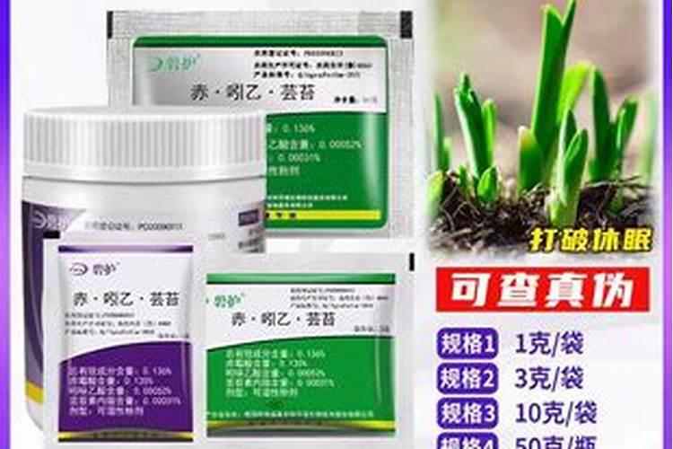 阳光玫瑰葡萄适合和什么葡萄在一个大棚里管理？