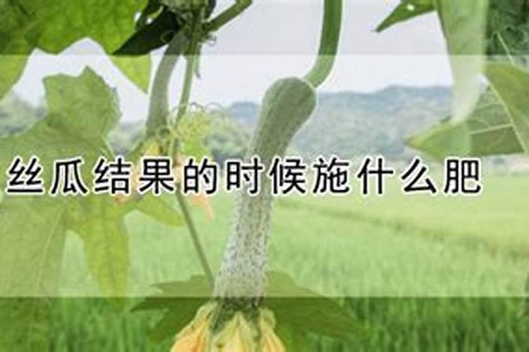 尿素几天能起效果