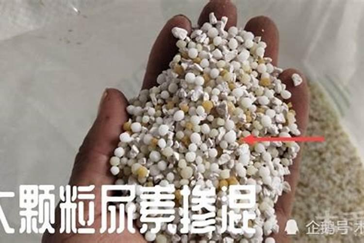 尿素肥料肥效多长时间