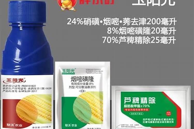 玉米(苞米)打什么叶面肥？什么时期打？