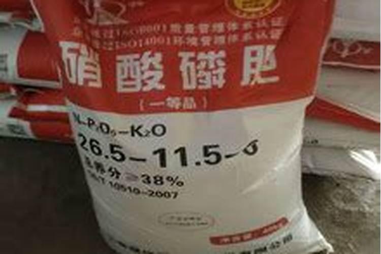 硝酸磷肥生产工艺是什么