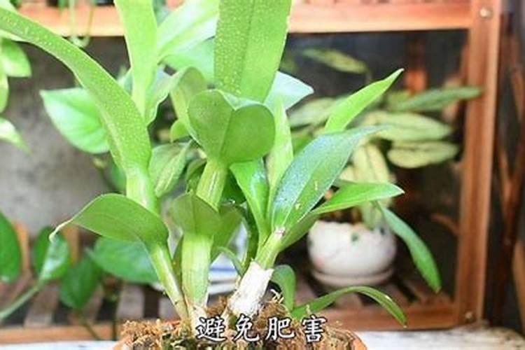 中源磷化化肥怎么样