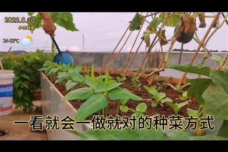 怎么使用山梨酸钾 山梨酸钾怎么使用
