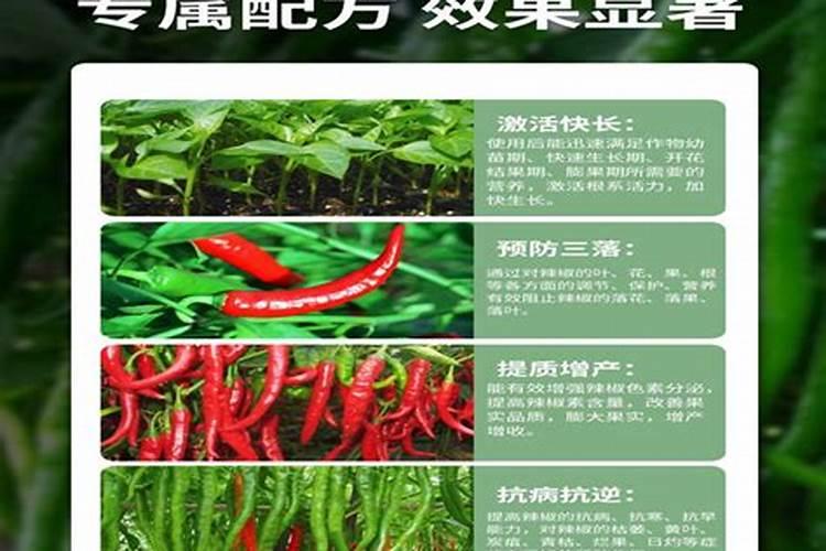 生根肥使用过程中应注意什么