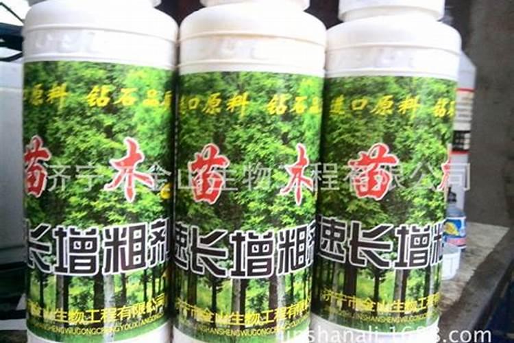 杨树快速增粗新方法