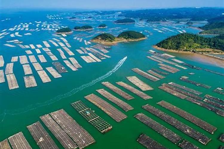 鱼蛋白概念股有哪些(开心模拟炒股)？鱼蛋白概念股名单