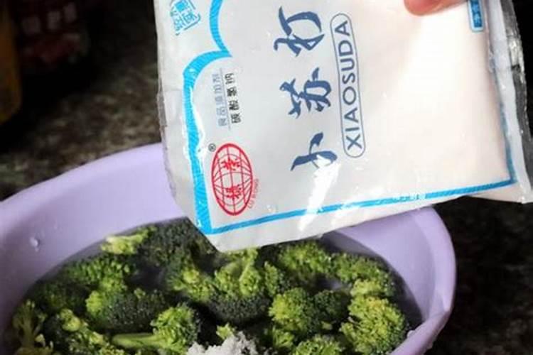 春季露地青花菜栽培技术要点 西兰花养殖方法总结