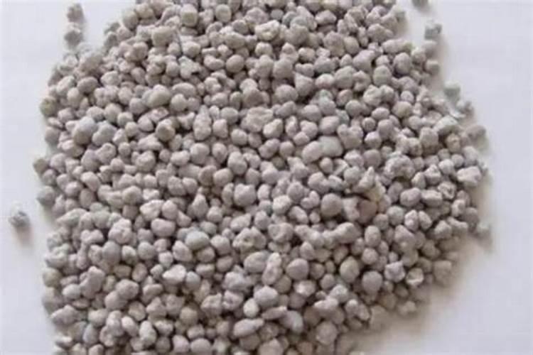 生黄豆沤肥技巧 怎么用黄豆做肥料
