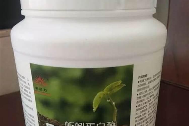 蚯蚓和鱼粉哪个好