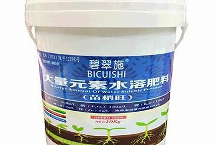 雏菊应该怎么养？
