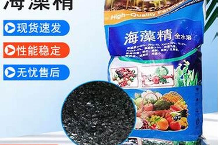 阳光玫瑰葡萄保果和膨大为什么加海藻精？