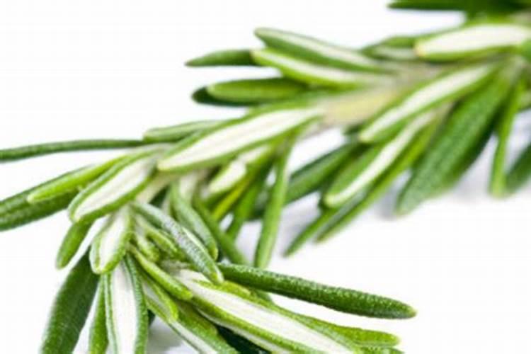 为什么高温要谨慎使用腐殖酸钠？