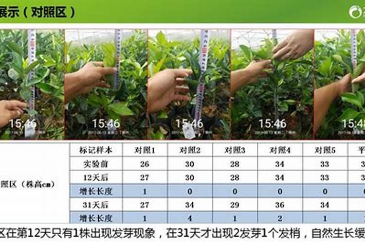 ...噻虫高氯氟,高效氯氟氰菊脂可以和什么铜制剂用以脐橙小树...