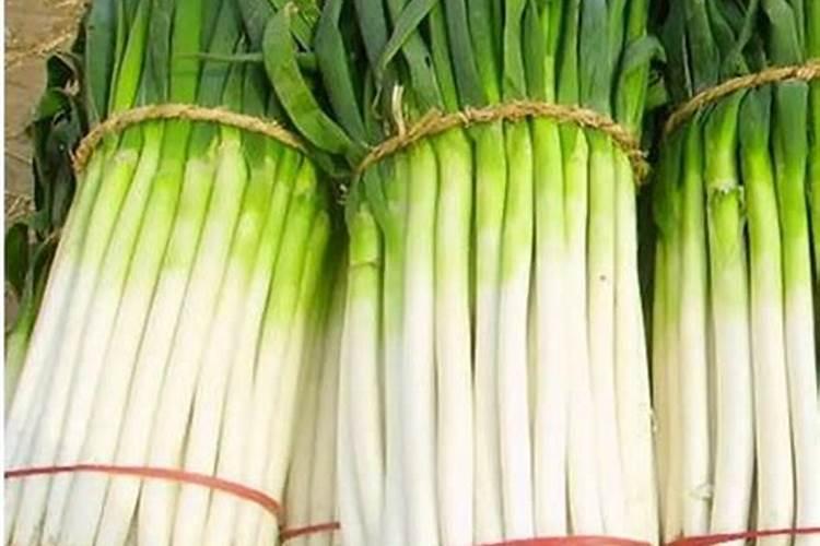 不寒凉的青菜有哪些？