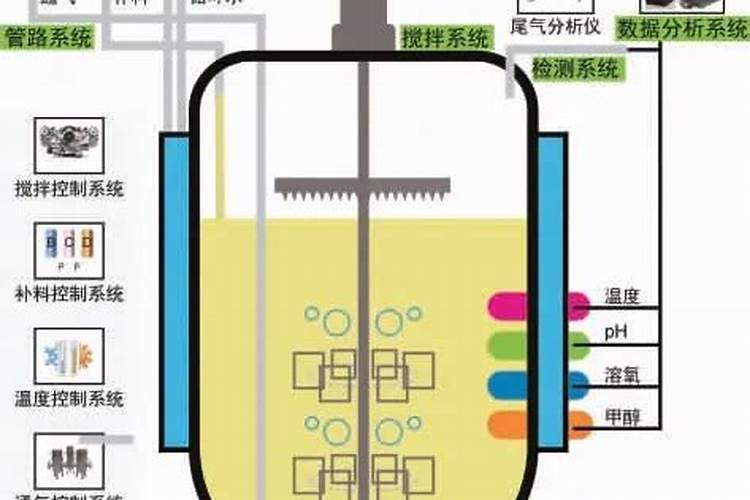 兔粪可以养茶叶树吗