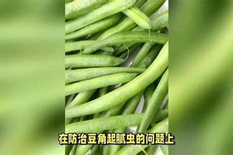 豆角尖尾、弯曲、粗糙