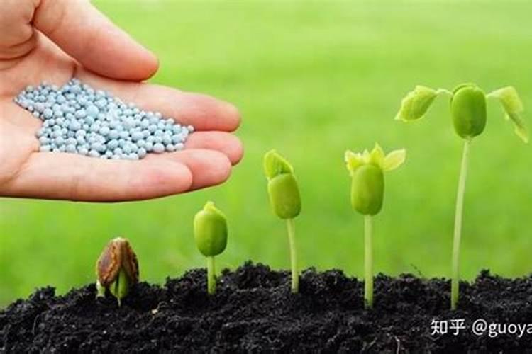 叶面肥等水溶肥料中能随意添加植物生长调节剂吗