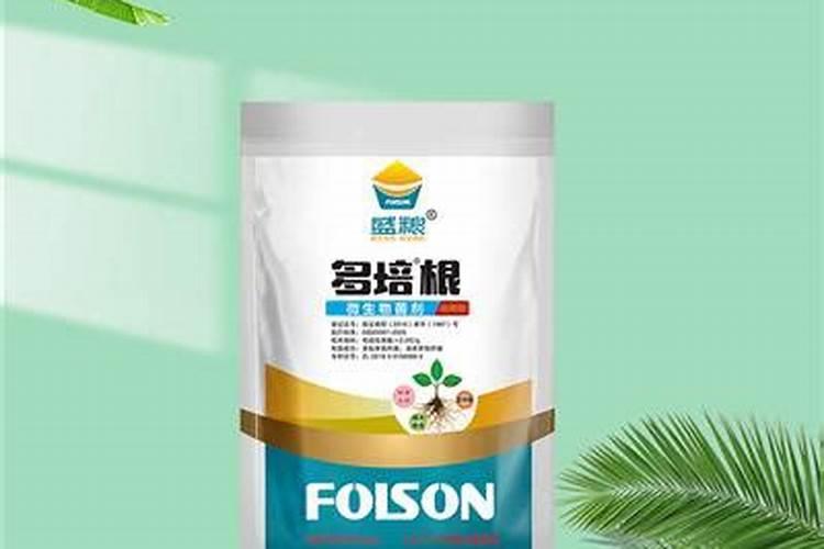 汉朝的粮食及钱币问题