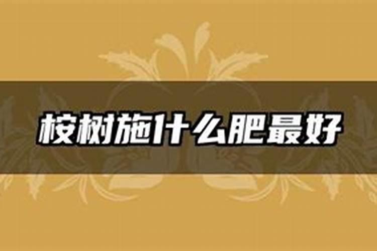 三年桉树用什么肥最好