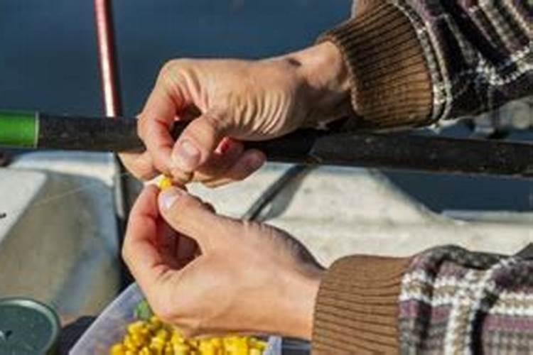玉米被包子砸成这样,是毁了重种？还是喷叶面肥补救？速回望各位专家