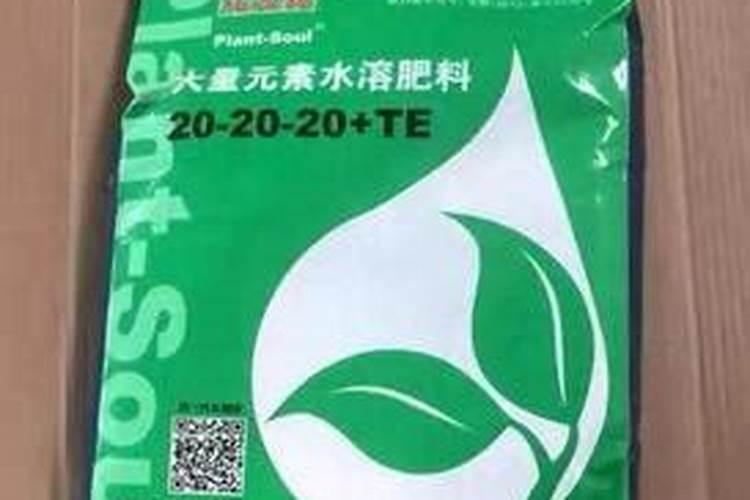 4种常见花卉施肥方法;适合各种花卉的肥料