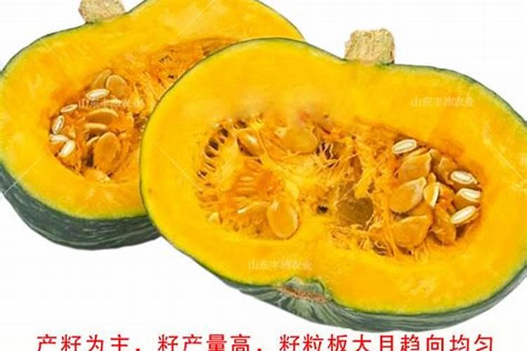 腐植酸肥料使用大忌