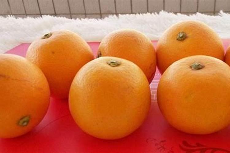 一天中什么时候给植物浇水最好
