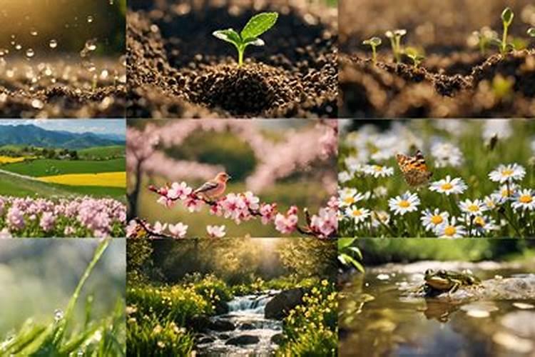 立春之后果树有没有必要施肥呢