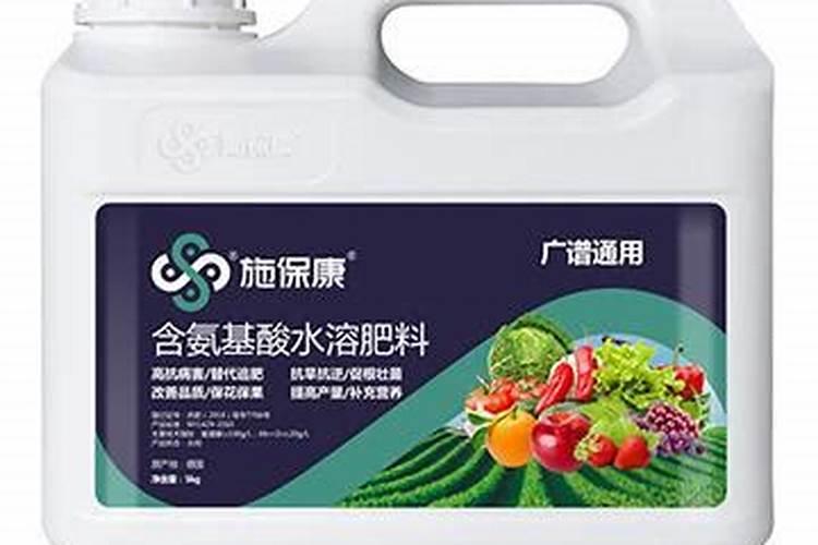 巴西玉兰花叶子为什么变黄？