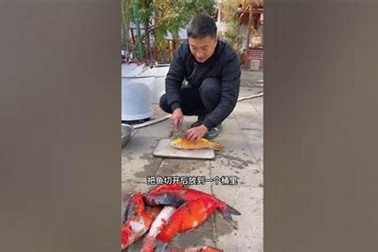 鱼蛋白叶面肥功效