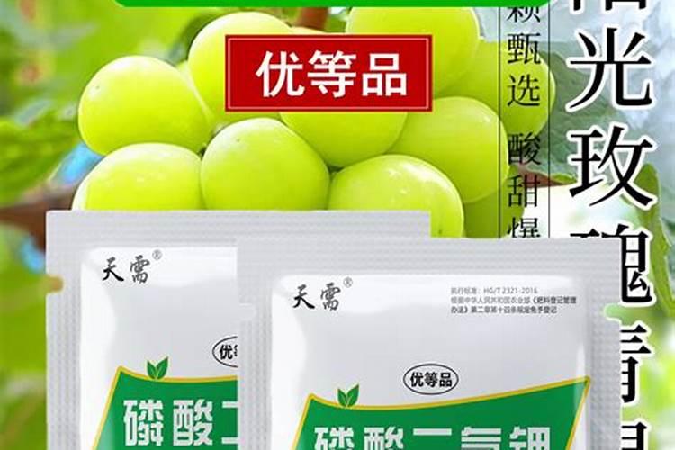 甜瓜用什么肥料,甜瓜施肥技术