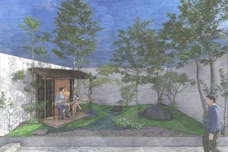 刚种的树多久浇一次水 多久可以施肥