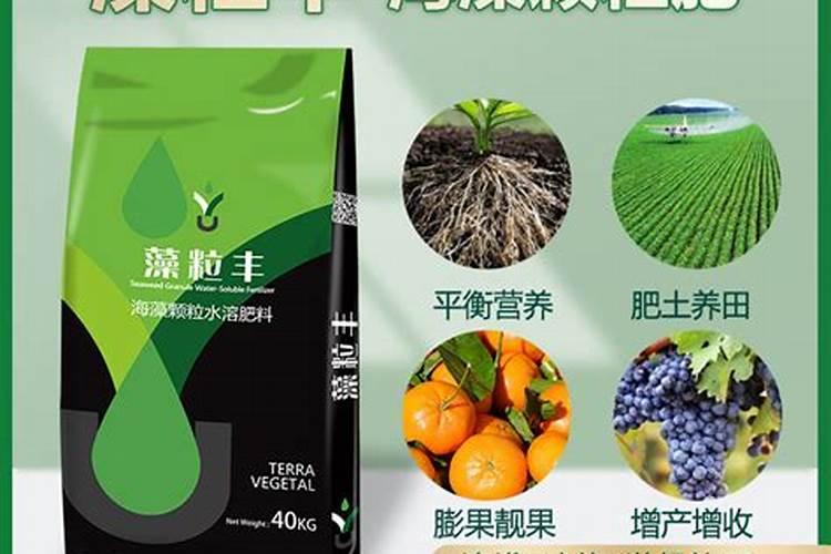 水溶肥的三大害处