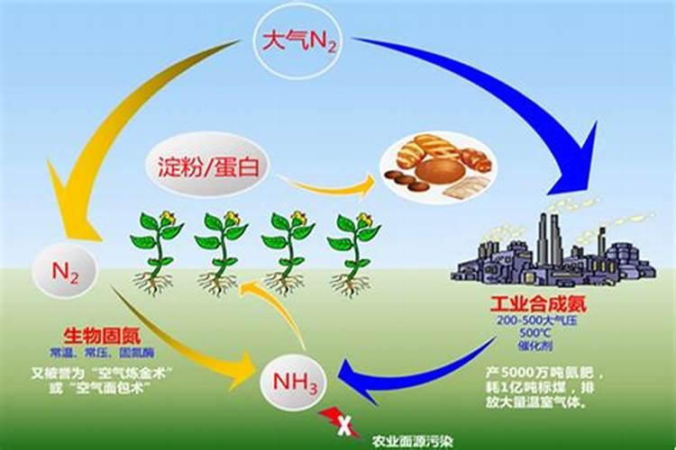 在种植马铃薯的时候该怎样科学的施肥？多久施一次肥比较？
