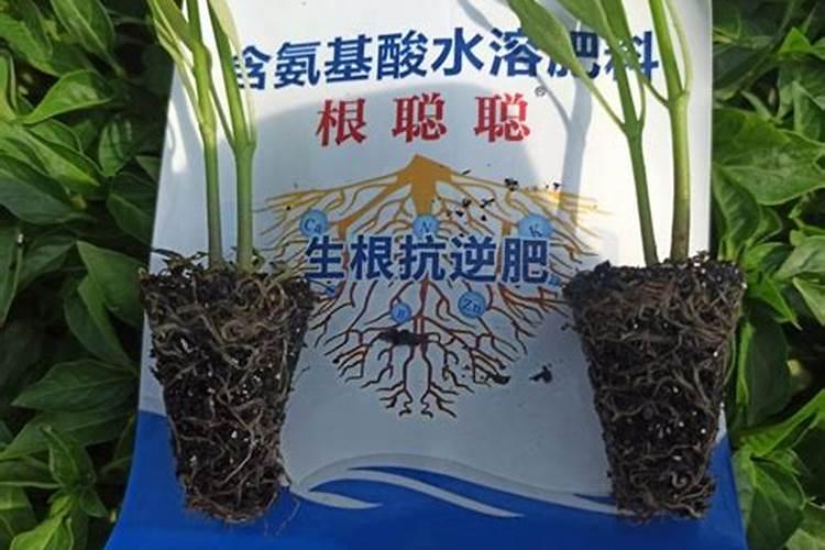 国内氨基酸水溶肥生产厂家有哪些？