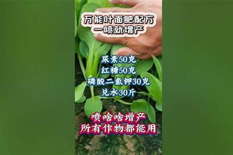 叶面施肥原理是什么,叶面施肥怎么施,施肥时机怎么选？