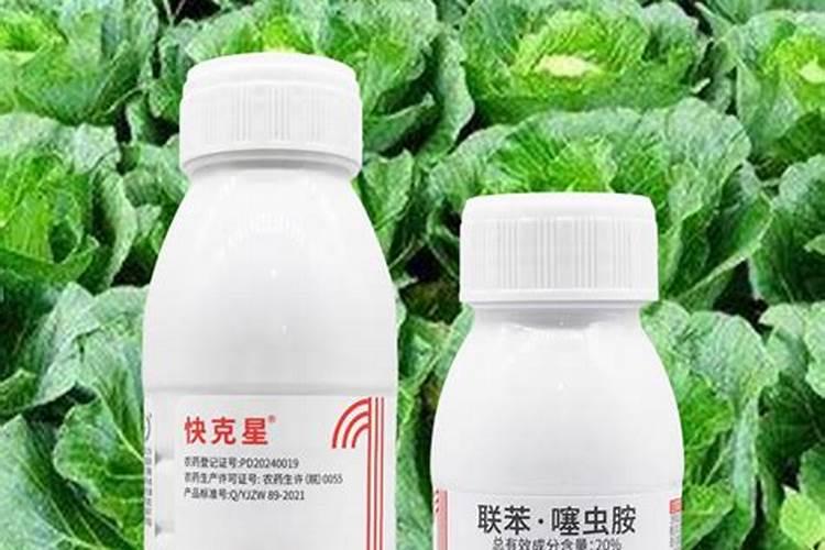 坏西红柿能上地肥吗？