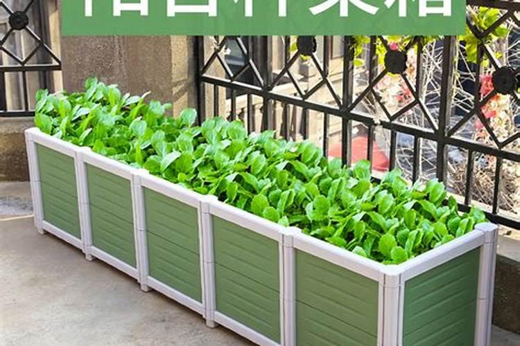 楼顶种菜用什么肥料