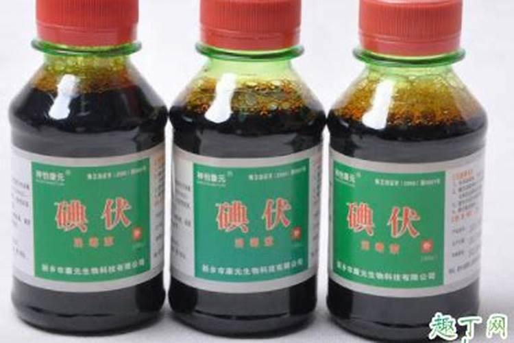 怎么养刚出生的小猫