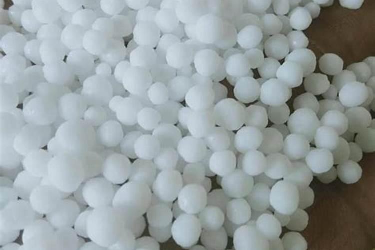 大棚西瓜定植后不生根用什么肥料