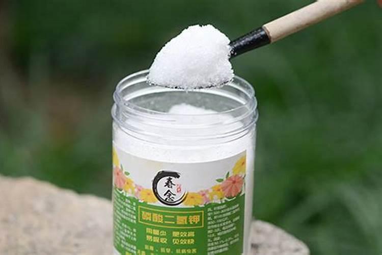 油菜开花时能不能喷芸苔素