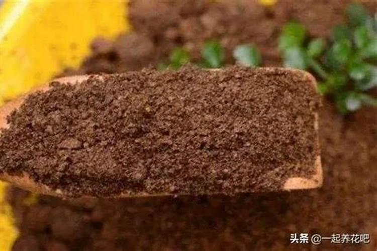 养花的氮肥有哪些 哪几种最常用